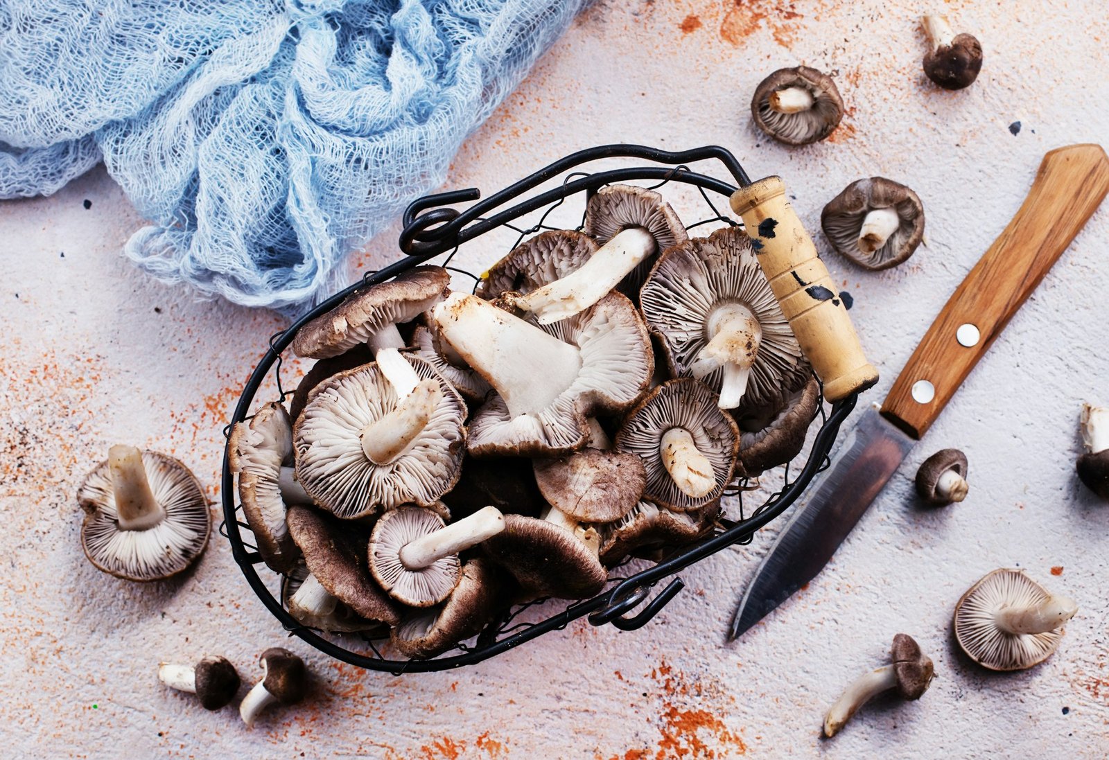 Creamy Mushroom Risotto