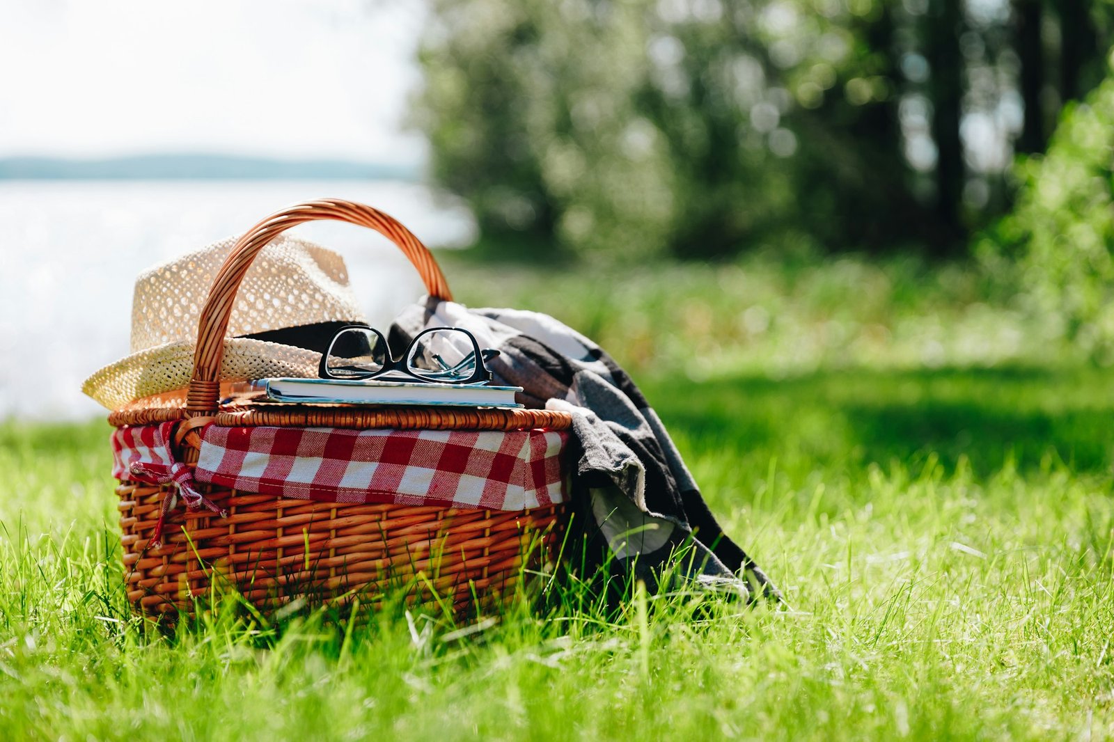 Picnic Bag